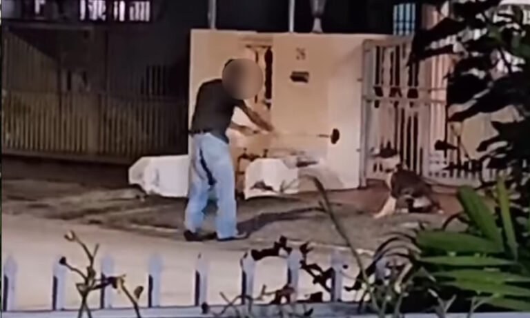 Johor Police Arrest Bangladeshi Man Over Alleged Dog Abuse