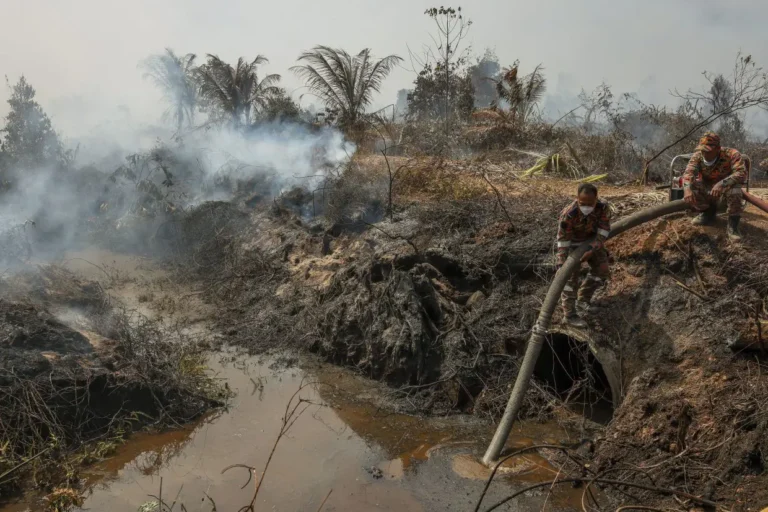 Govt Considers Cloud Seeding for 137ha Kuantan Peatland Fire